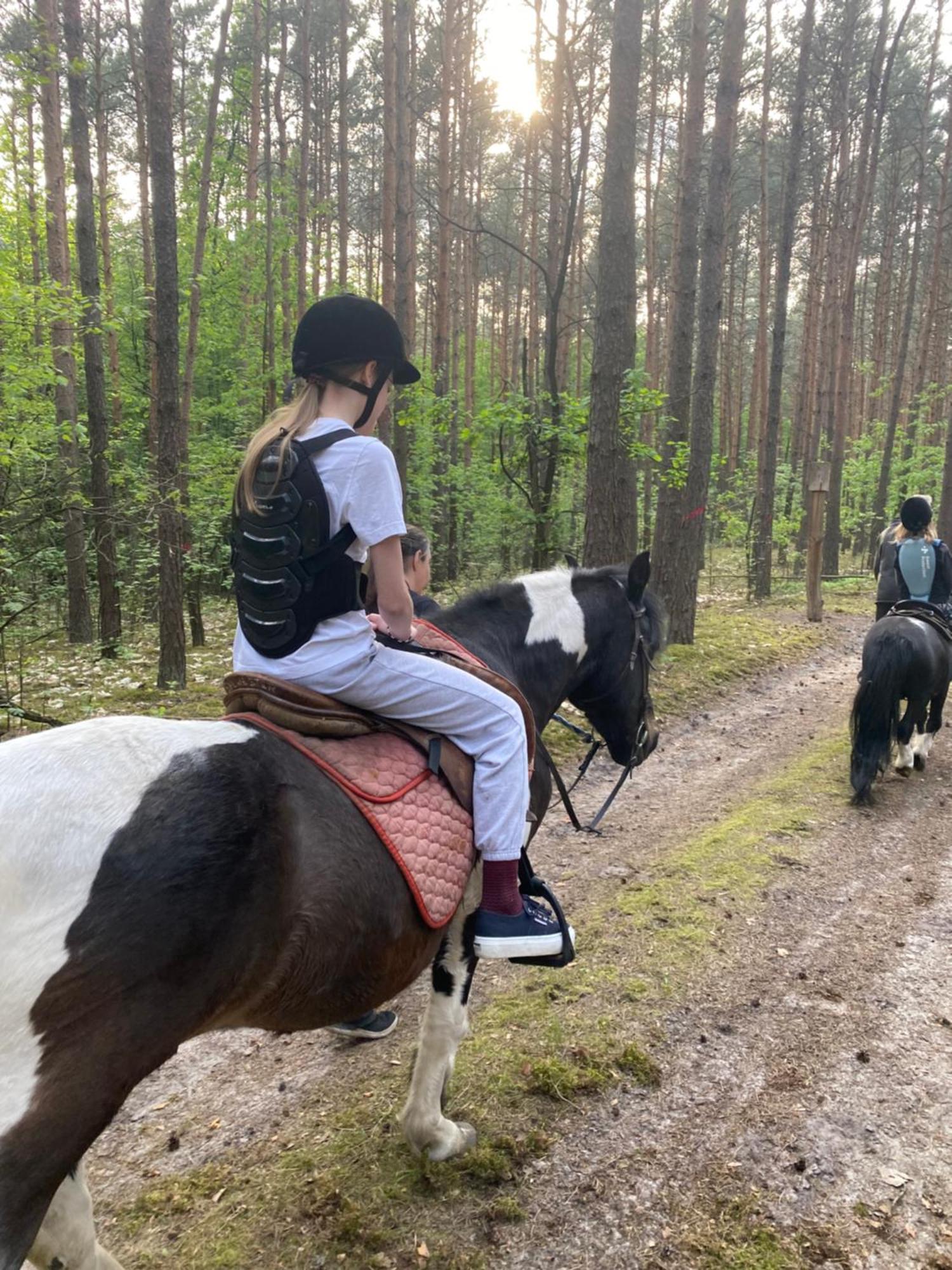 Przytulny Domek W Lesie Blisko Rzeki Ryczywol  ภายนอก รูปภาพ